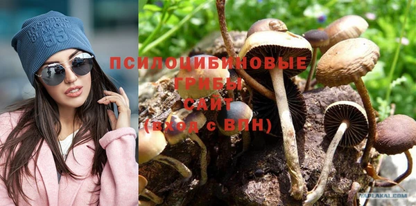 гидропоника Беломорск