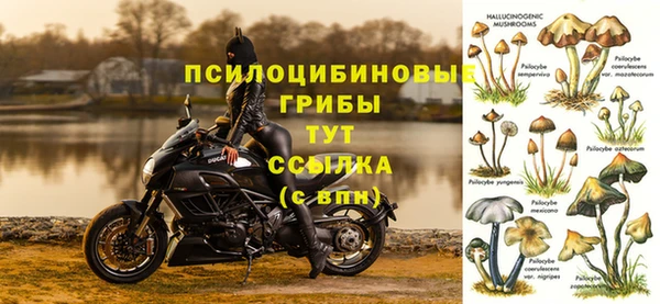 ГАЛЛЮЦИНОГЕННЫЕ ГРИБЫ Богородицк