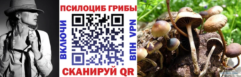 Галлюциногенные грибы ЛСД  KRAKEN как войти  Обь  как найти наркотики 